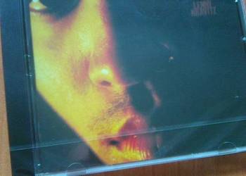 Lenny Kravitz Let Love Rule CD