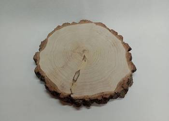 PLASTRY BRZOZOWE 30-40CM KRĄŻKI BROZOZWE PLASTRY DREWNIANE
