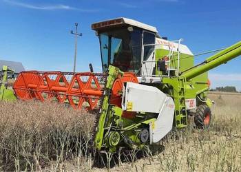 Kombajn zbożowy Claas dominator 68 stół do rzepaku.