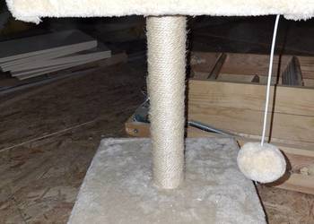 Drapaki kuweta dla kota