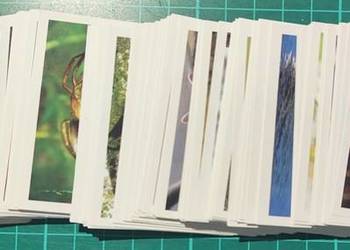 Zwierzęta świata Naklejki do albumu E.Leclerc