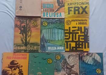 Zestaw 10 książeczek z serii Żółty Tygrys. Lata 1967-88.