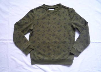 Sinsay 122/128 Khaki Bluzka Roar Dinozaury Jak Nowa