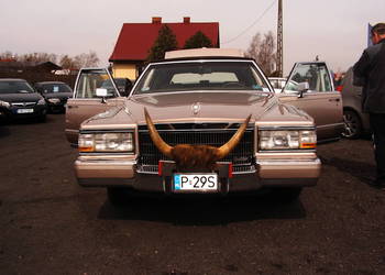 Lincoln  1990 r 4,5 Etylina / do ślubu /
