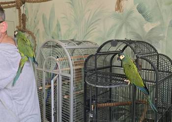 Ary Marakany Ary Marakany