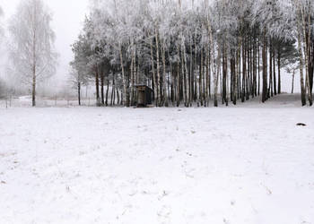 Działka Krynice 2181m2