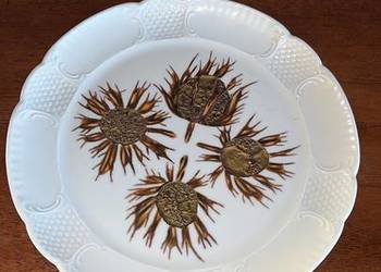 Patera Langenthal, Suisse, Szwajcaria. Ecru