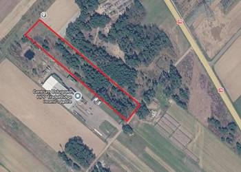 Działka rekreacyjna - siedlisko | Mniszew | 9728 m²