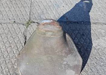 Siedzenie komar żak