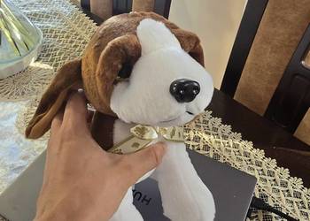 Maskotka piesek beagle