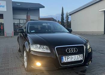 Audi a3 8p 1.9TDI