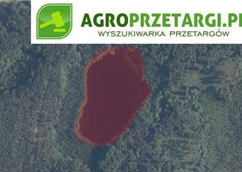 Dzierżawa 2,94 ha jeziora