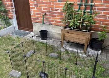 Wybieg Kojec Klatka dla Świnki Morskiej Królika Gryzoni Gryzonia NOWY