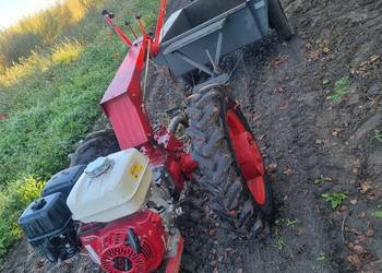 Dzik białorus 09H honda GTX270