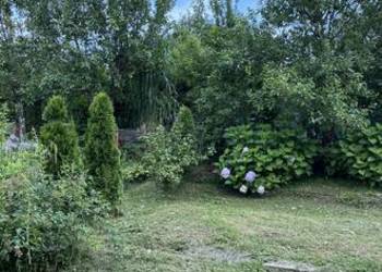 Sprzedam działkę rekreacyjną-ogródki działkowe Złoty Potok -Lipnik