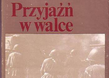 (6398) PRZYJAŹŃ W WALCE – PIOTR ANDREJEW