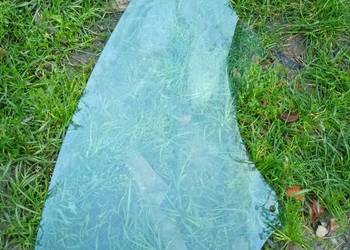 Szyba przednia prawa przód pasażera ford focus mk3 2012