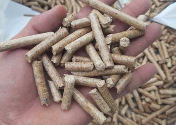Enplus Certified wood pellets