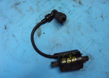 yamaha majesty 250 cewka