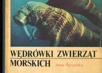 Wędrówki zwierząt morskich