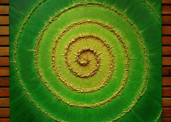 Obraz akryl płótno „Złota spirala #5” 50x50 cm, struktury