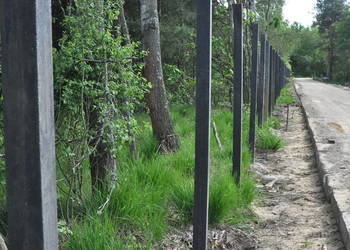 Słupki do ogrodzeń, do pastucha, mocne i trwałe na długie lata 6x6x200