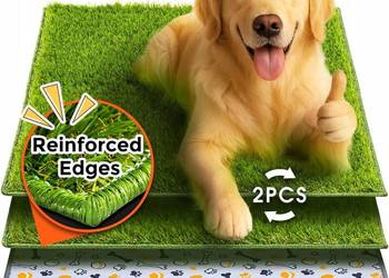 Hompet maty trening posłuszeństwa