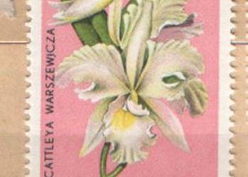 Zn. Fi 1466 ** 1966