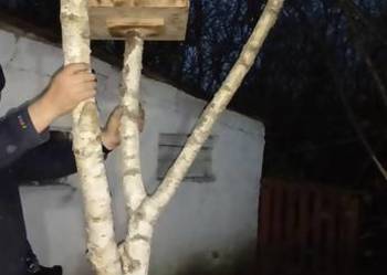 Hotel, karmnik dla ptaków