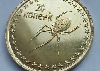 CZECZENIA-20 KOPIEJEK-2013 r (PAJĄK)-ŁADNA