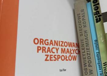 Organizowanie pracy małych zespołów podręczniki szkolne okaz Organizowanie pracy małych zespołów podręczniki szkolne okaz