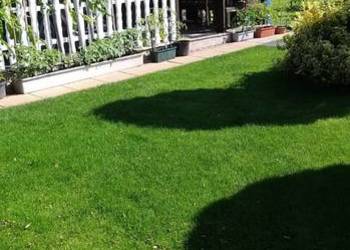 Działka ROD Tamel ogródek działkowy