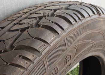 Opona ROSAVA Steel Radial 13" 70/165  nowa