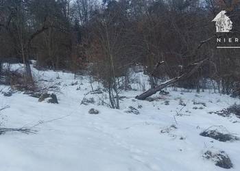 Siary działka budowlano-leśna 21a 1168S/2026