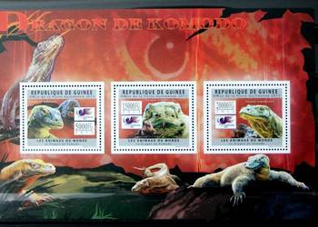 Gwinea ( waran z Komodo)