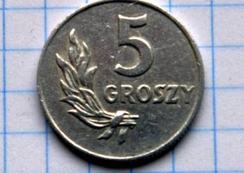 5 GROSZY 1949 ROK - POLSKA