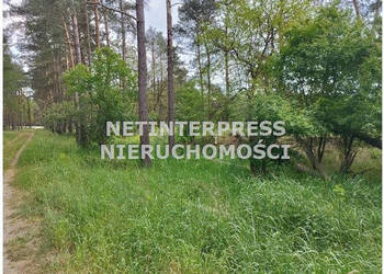 Działka Drezdenko 71795 metrów