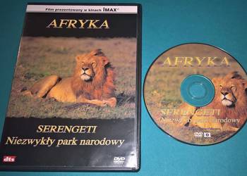 Afryka Serengeti film na DVD