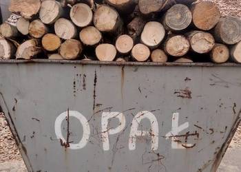 Drewno opałowe w cenie 250 zł/m3