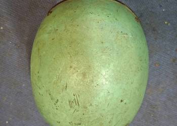 Kask PRL WSK WFM SHL Junak Romet Komar Motorynka