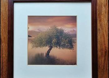 Ramka ze zdjęciem Drzewa drewniana z passe-partout jak Nowa Okazja!