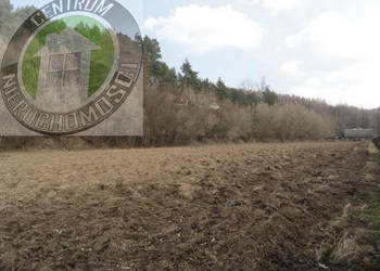 Sprzedaż działki Roztoka-Brzeziny 900m2