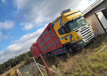 Scania V8 R480 Zestaw do przewozu żywca.