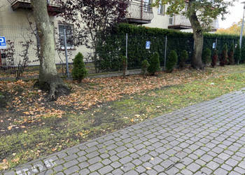 Mieszkanie Rowy - 200m do morza - 34,35m2 z balkonem 9,41m2 Mieszkanie Rowy - 200m do morza - 34,35m2 z balkonem 9,41m2