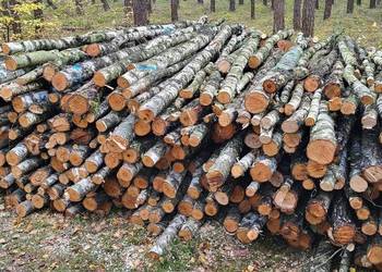 Drewno Opałowe  gałęziuwka Drewno Opałowe  gałęziuwka