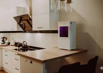 Oryginalna Domowa Tężnia Solankowa inhalator solanka na wymiar różne kolory Myszków