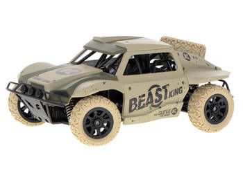 SAMOCHÓD RC RACING RALLY 2.4GHZ 4WD PUSTYNNY 1:18