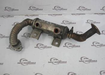 TRANSIT CONNECT 1.8 TDCI 10r chłodniczka spalin 7T1Q-9F464-AA