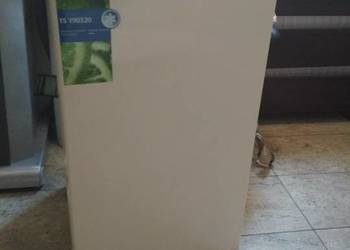 Lodówka Beko TS190320