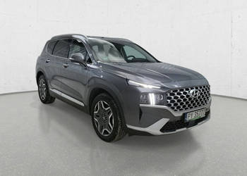 Hyundai Santa Fe IV (2018-2024)